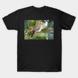 Tweet T-Shirt